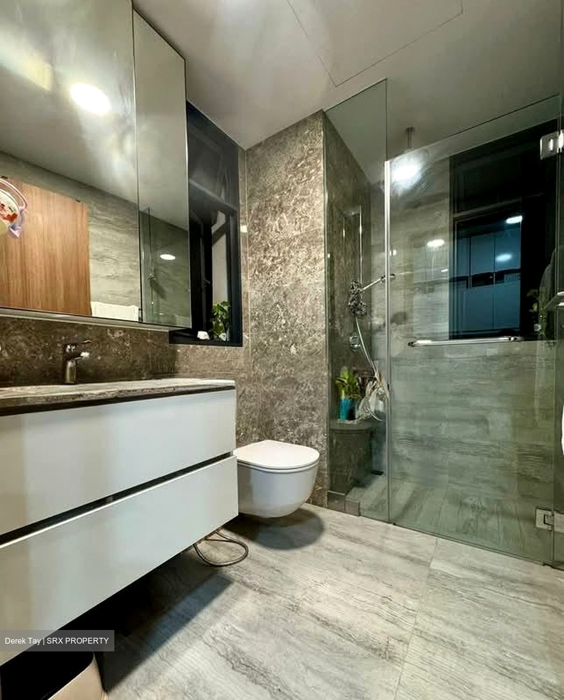 Fourth Avenue Residences (D10), Apartment #572554441